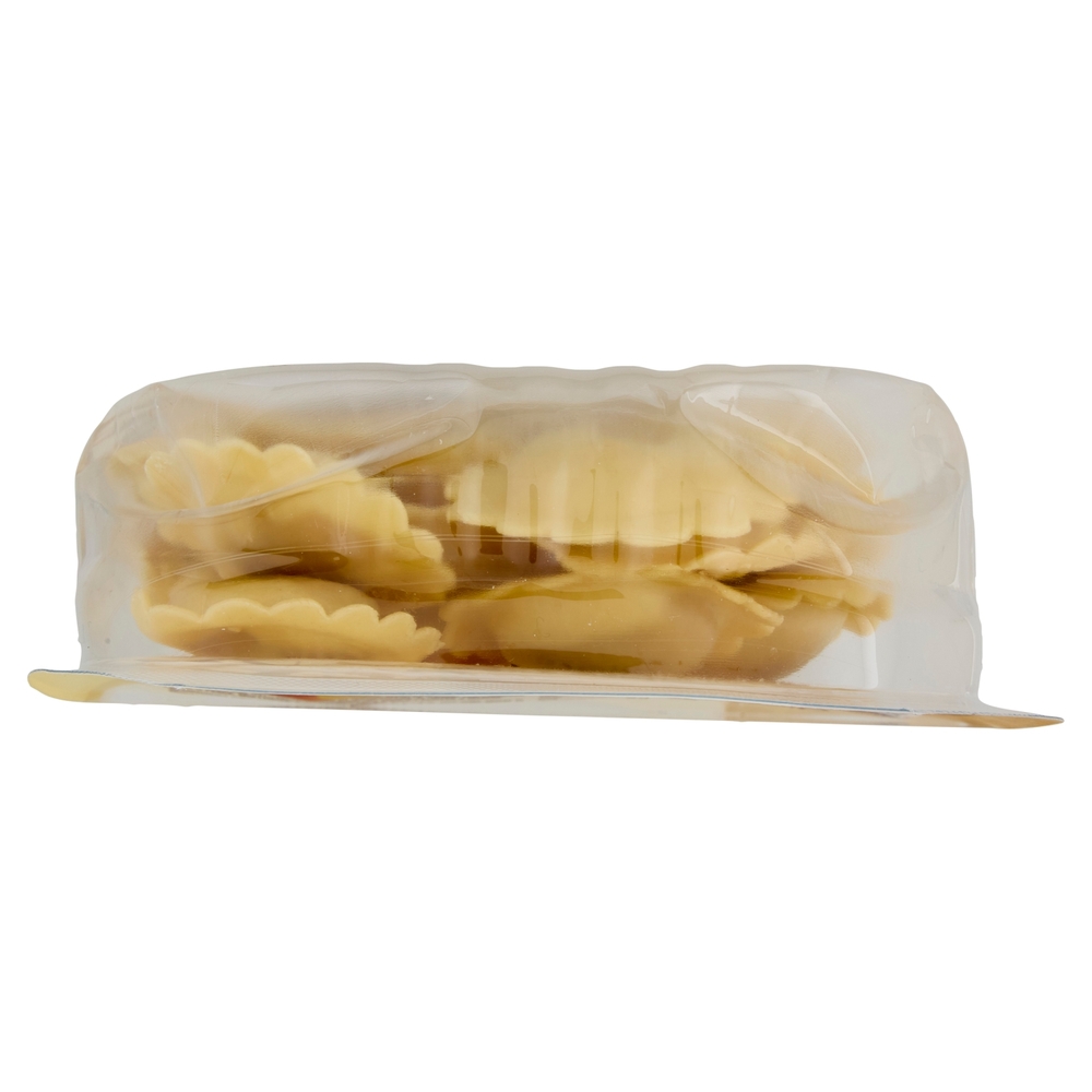 Girasoli alla Zucca U! Confronta e Risparmia